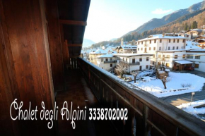 Chalet Degli Alpini Pieve Di Cadore